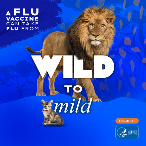 1259977_23_Flu-Asset-03_Parents_Lion_1080x1080