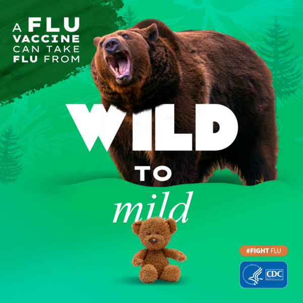 1259977_23_Flu-Asset-2_Parent_Bear_1080x1080